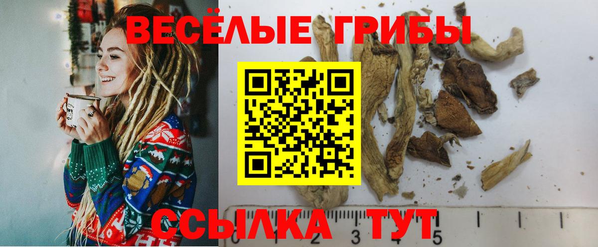Валуйки  Галлюциногенные грибы Psilocybine cubensis  Вход с VPN 